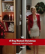 2012-ABrideforChristmas-1956.jpg